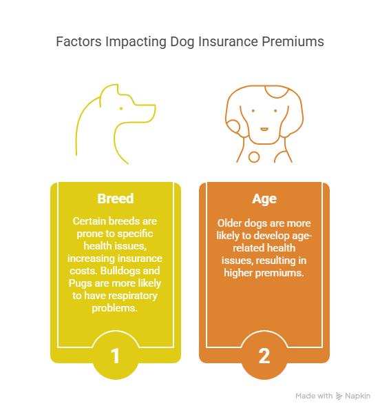 dog insurance a month