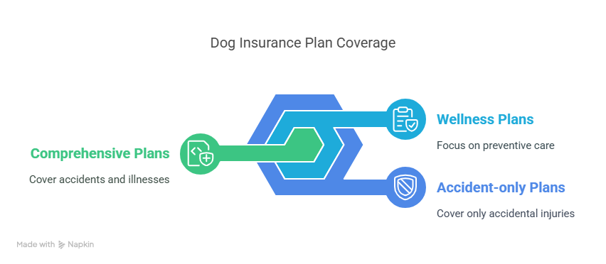 What does dog insurance cover?